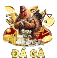 Quà Sinh Nhật
